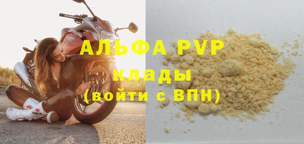 гидра Няндома